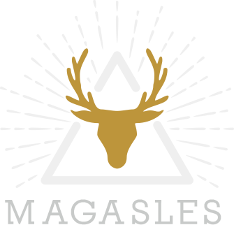 Magasles